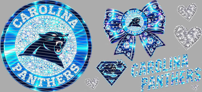 16oz team-NFL 3096